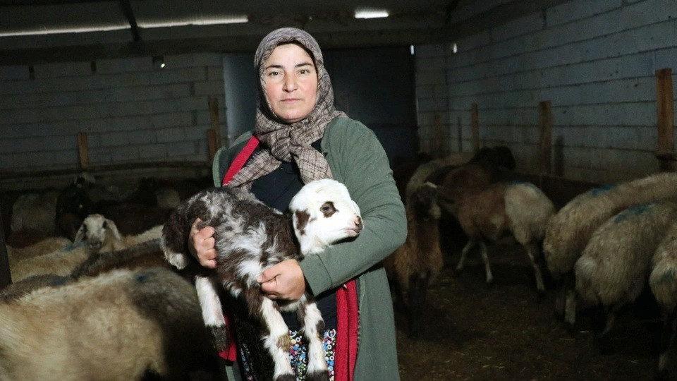 Erzincan'lı Kadın Devlet desteğiyle Hayvan Sayısını 2 katına Çıkardı