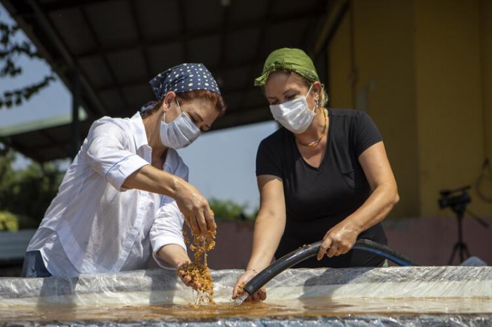 Atalık sarı buğday kazanlarda kaynadı, güneşin kollarına bırakıldı