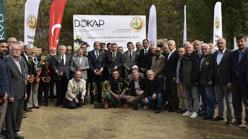 Kürtün'den Yeni Kalkınma Hamlesi: Süper Meyve 'Aronya'