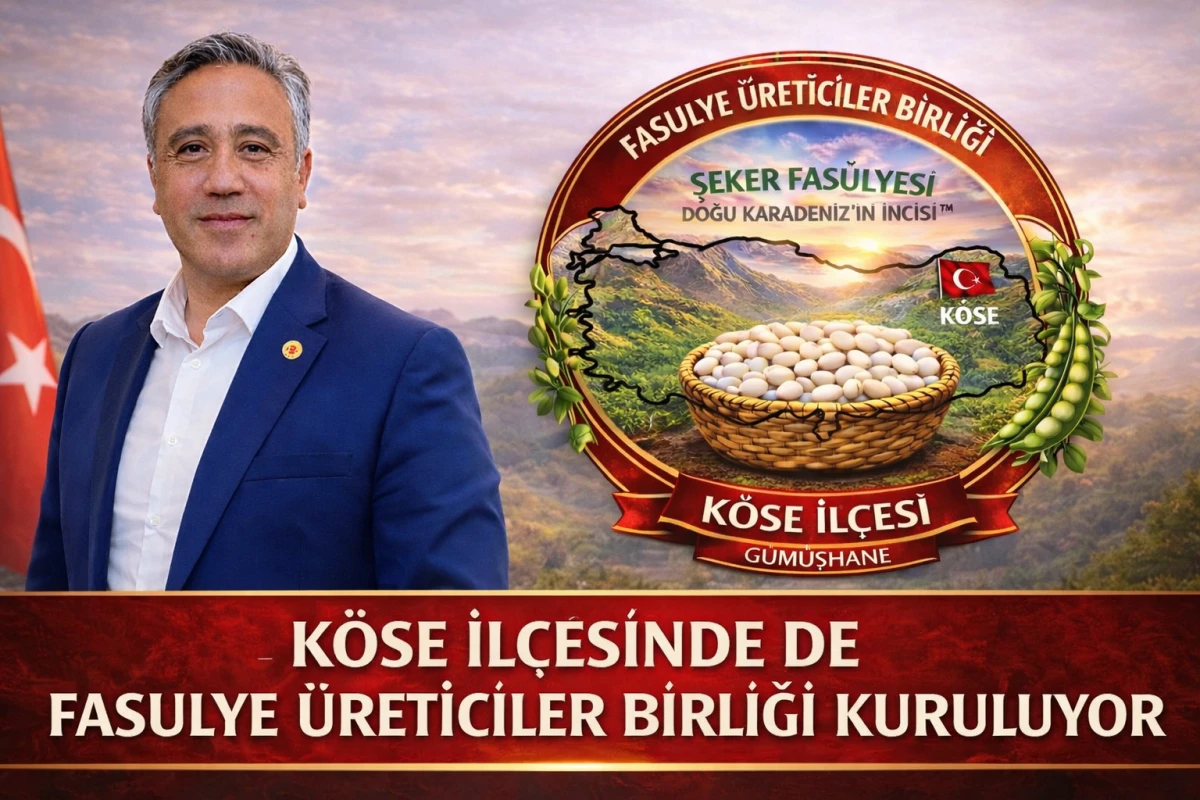 K&Ouml;SE İl&ccedil;esinde de Fasulye &Uuml;reticiler Birliği Kuruluyor